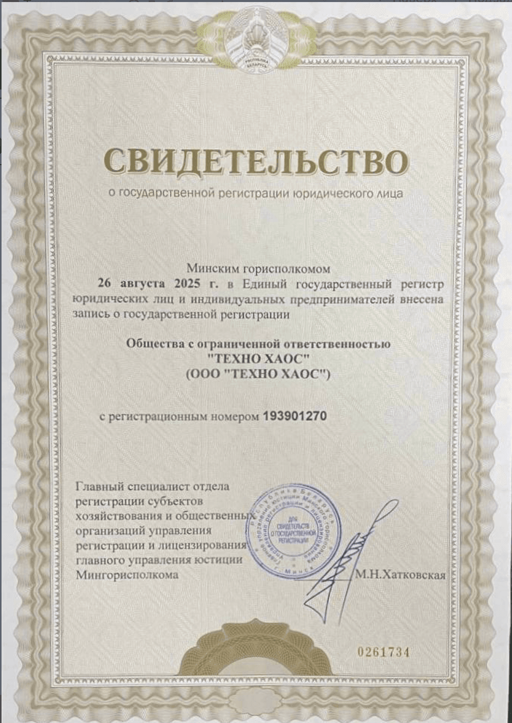 Свидетельство о регистрации ТехноХаос